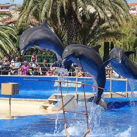 Castillo Can Xirau, Propiedad Exclusiva Con Piscina & Aircon Villa Santa Susanna Dış mekan fotoğraf